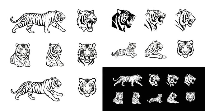 Tiger Silhouette Vector Set Collection
