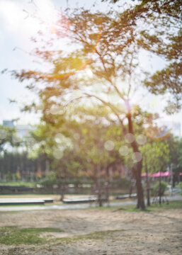 defocused bokeh background of garden trees