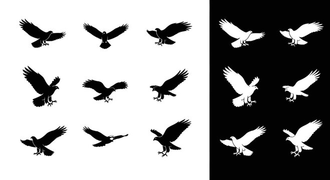 Set of Eagle Silhouettes in Various Flight Poses