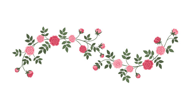 A long, curving vine adorned with numerous pink and red rose blossoms and green leaves gracefully extends across a clean white background.