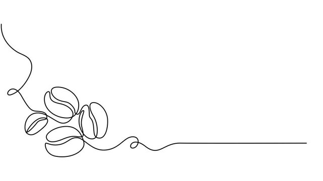Coffee beans animation. Coffee grain continuous line drawing animated video, Coffee beans animation. Coffee grain continuous line drawing animated video, Animated self drawing of continuous line draw