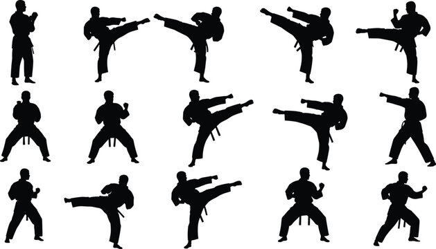 Silhouettes of martial artists performing high kicks, side kicks, and fighting stances showcasing dynamic motion, discipline, and training