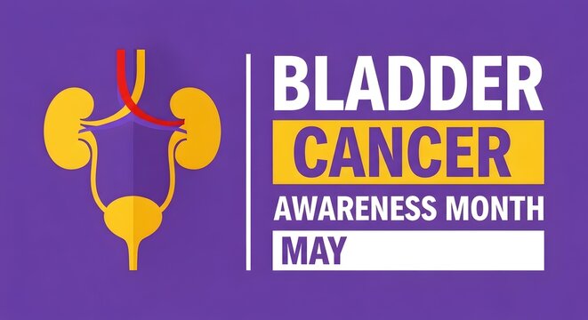 Bladder cancer awareness month is visually explained with a stylized illustration of the human urinary system, including kidneys and bladder, on a purple background.
