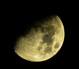 Luna © Steve Fossiant