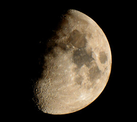 Luna © Steve Fossiant