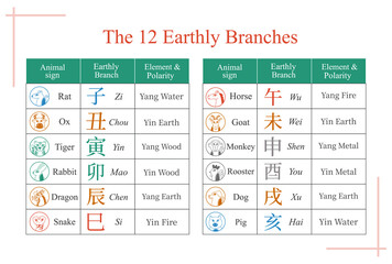 The 12 earthly branches table, Sheng Xiao, feng shui, bazi, four pillars of destiny, Chinese Zodiac, tcm, vector illustration, animals signs, horoscope