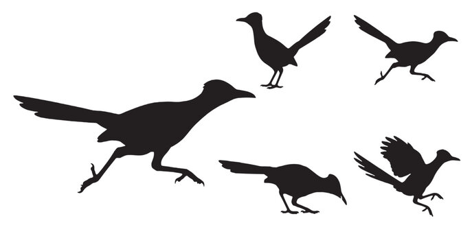 Collection of black silhouettes of roadrunners in various dynamic poses, isolated on a white background.