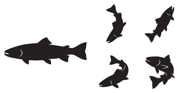 Collection of black silhouette illustrations of salmon fish in various dynamic swimming poses against a white background.