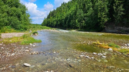 Krajobraz rzeki pośrodku lasu  © Asnyko