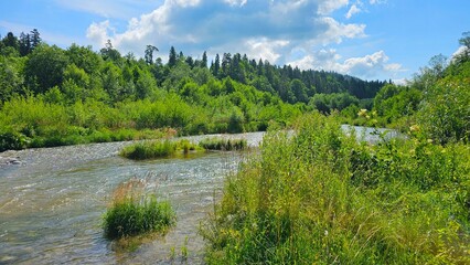 Rzeka płynąca w dolinie © Asnyko