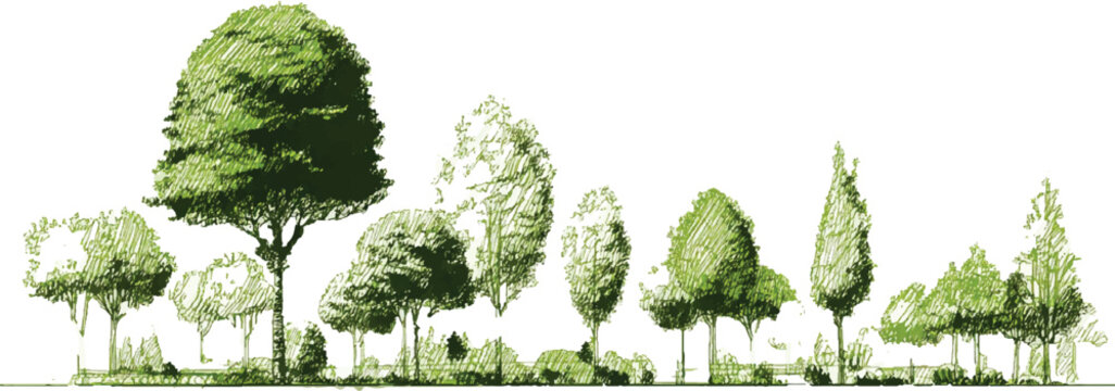 A line of various green trees and bushes drawn with a sketchy green ink style