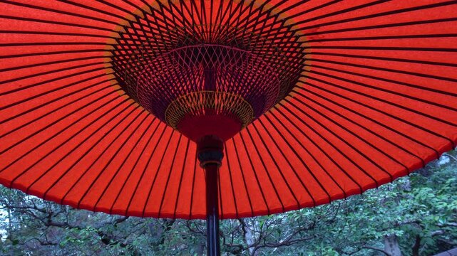 庭園に置かれた伝統的な赤の和傘