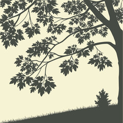 Fototapeta premium A tree with branches and leaves on a hill