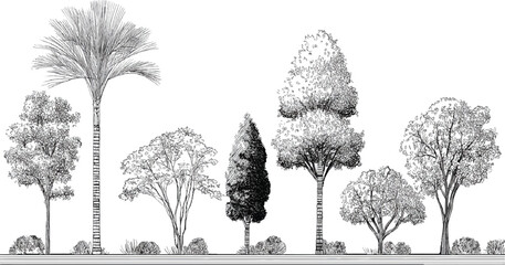 Fototapeta premium Black and white line of diverse trees and bushes in a row palm foliage branches