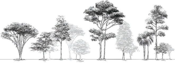 Collection of diverse trees in varying sizes and styles rendered in black and white nature forest woodland © appl