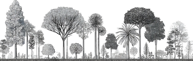 Fototapeta premium Diverse collection of detailed black and white botanical of various trees and plants forming a horizontal landscape panorama