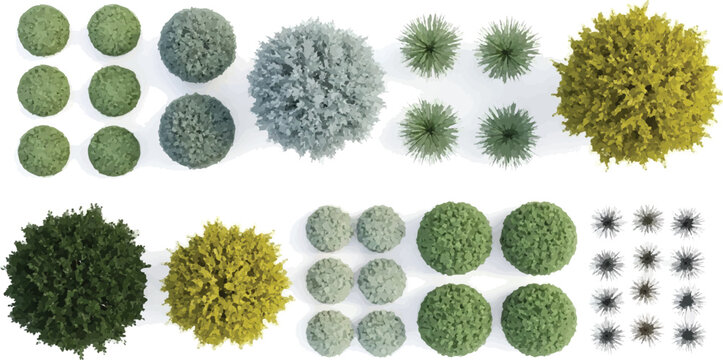 Architectural landscape plan symbols, top view tree and shrub icons for site mapping, 2D garden design elements in green and yellow shades, professional vegetation vector set isolated PNG with