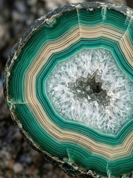 Macro shot of natural green agate stone slice with concentric rings and crystals.
