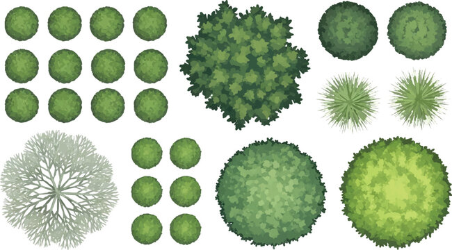 Landscape architecture symbols for site planning, top view garden trees and green shrubs vector set, aerial perspective vegetation icons for park design and master plan isolated PNG with
