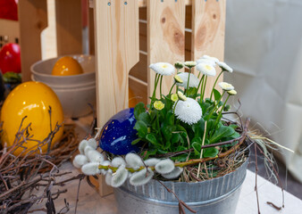 White bellis daisies in a metal container styled with willow catkins, twig elements, and a glossy blue Easter egg. Fresh spring arrangement for rustic decor, farmhouse styling, seasonal floral display © Volha