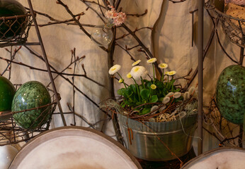 Small white bellis daisies planted in a galvanized metal pot with twig nest details and willow catkins. Soft rustic arrangement for Easter styling, spring floral decor, farmhouse display, and natural  © Volha