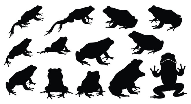 Collection of diverse frog shapes in black silhouettes