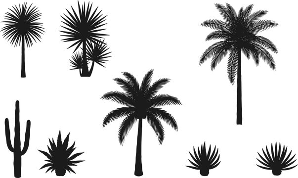 Tropical plant silhouettes set with palm trees, cactus and agave isolated on white background, black vector illustration collection for nature, desert, and landscape design