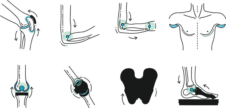 Joint movement anatomy icons set with knee elbow shoulder hip motion rotation flexibility and human body biomechanics illustration