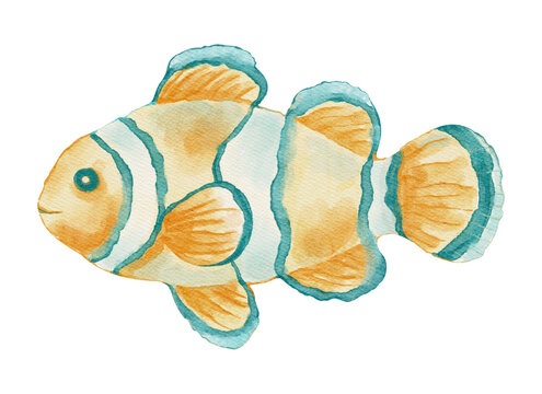 Clownfish Tropical Fish Watercolor Animal Marine Sea Ocean Beach Coastal Summer Element on a Transparent Background