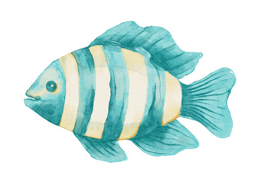 Tropical Fish Marine Sea Ocean Watercolor Reef Coastal Summer Striped Animal on a Transparent Background