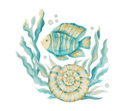 Watercolor Tropical Fish Shell Seaweed Marine Sea Ocean Coastal Summer Illustration on a Transparent Background