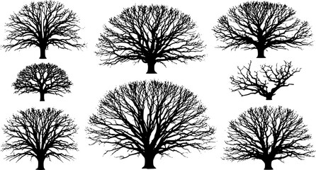 Obraz premium Winter trees silhouettes collection. Set of isolated vector design elements.. Hand drawn illustration in sketch style. Nature template. Clipart