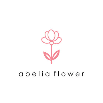 Beautiful Abelia Flower Blooming Shrub &ndash; Ornamental Garden Plant with Fragrant Blossoms, Lush Green Foliage, Landscaping Beauty, Pollinator Friendly Nature and Decorative Outdoor Design Inspiration