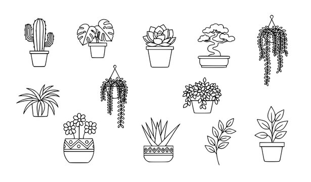 Minimal monoline potted plants icon set with indoor botanical greenery and plant decor symbols for web design