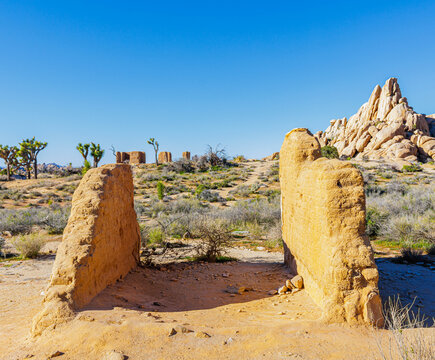The Remains of The Historic Ryan Ranch House Seen Across The Mojave Desert, Joshua Tree National Park, California, USA