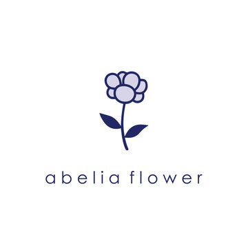 Beautiful Abelia Flower Blooming Shrub &ndash; Ornamental Garden Plant with Fragrant Blossoms, Lush Green Foliage, Landscaping Beauty, Pollinator Friendly Nature and Decorative Outdoor Design Inspiration