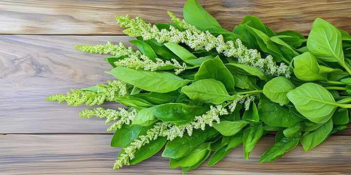 Fresh green lemon basil bouquet on a wooden table