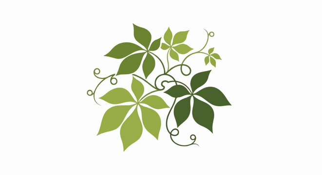 Stylized green vine with swirling tendrils and five-pointed leaves