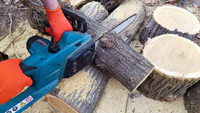 Hand holds chain saw with battery to trim broken branch of an tree. Modern work with electric portable brushless cordless chain saw.