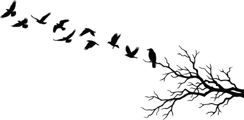 Flying birds silhouettes with perched crow on tree branch vector illustration isolated on white background for nature wildlife design decoration © Creative Vector