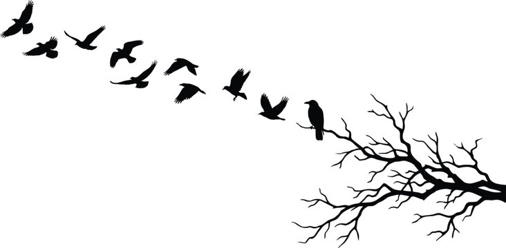 Flying birds silhouettes with perched crow on tree branch vector illustration isolated on white background for nature wildlife design decoration