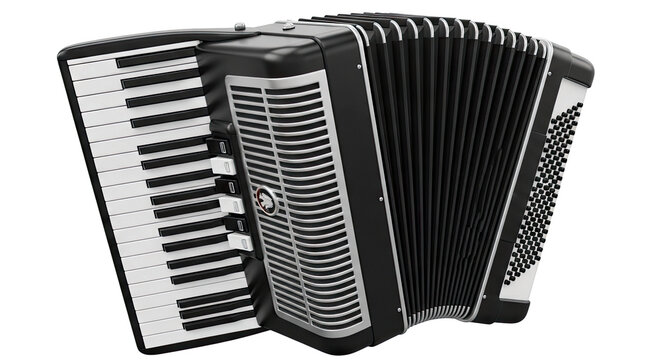 Black Accordion with Silver Accents
