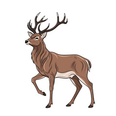Obraz premium A brown deer with large antlers standing.