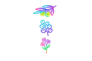 Obraz premium Design shows colorful leaves and flowers with outlines of green olives and small blooming flowers placed in a vertical arrangement