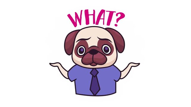 Confused pug businessman shrugging with WHAT text in cartoon animation