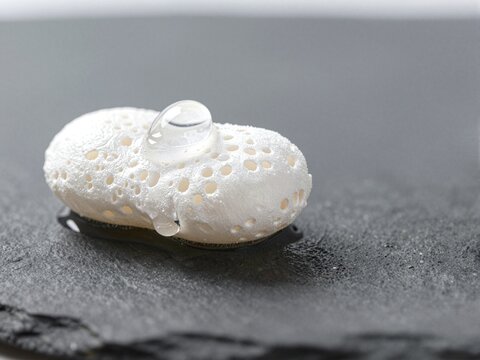 Cornstarch Packing Peanut Melting Under Water Drop