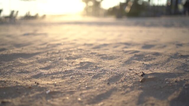 Strong wind blowing sand across a beach during a beautiful golden hour sunset