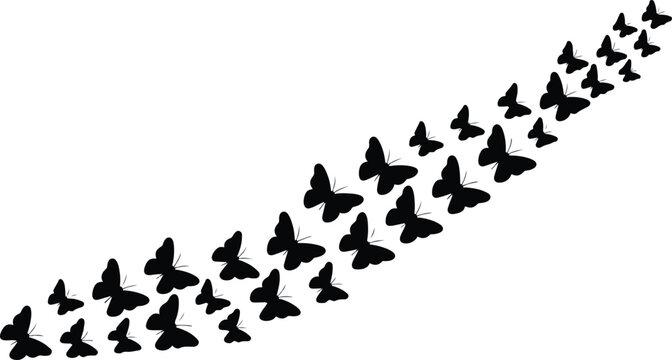 Minimal butterfly silhouette composition in curved diagonal layout with detailed wings clean black and white vector illustration