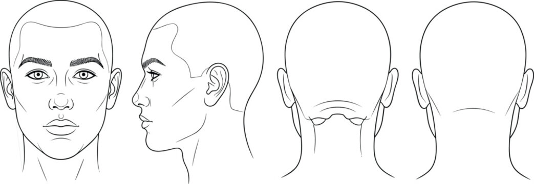 Male head front profile and back view vector illustration set for character design haircut reference and human anatomy study template