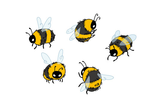 Cute doodle of bee and bumblebee pollinators. Cartoonish vector illustration of buzzing wild animal